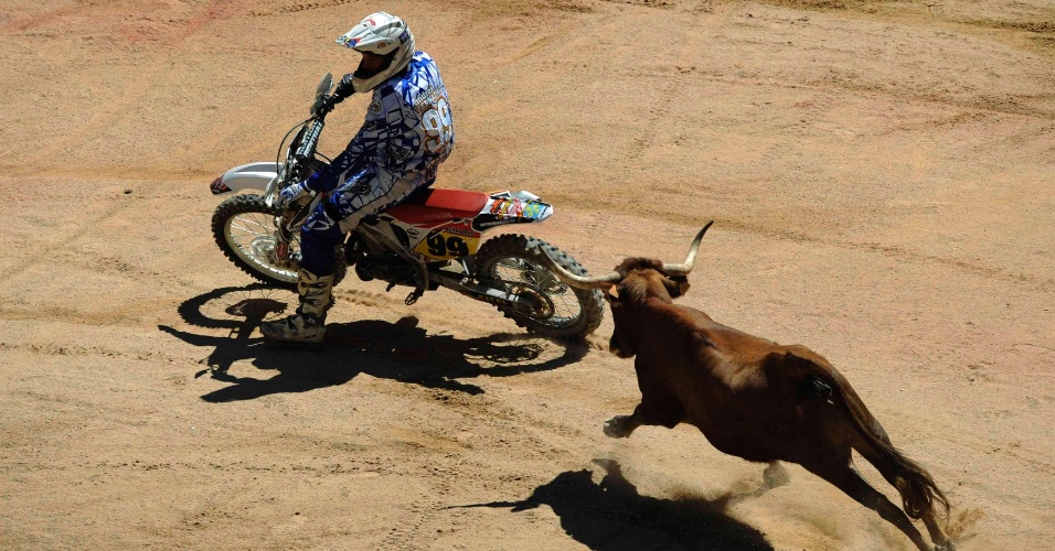 12.jul.2012 - O bicho também dá o troco: motociclista é perseguido por uma vaca na arena de Pamplona, na Espanha, no sexto dia do Festival de São Firmino