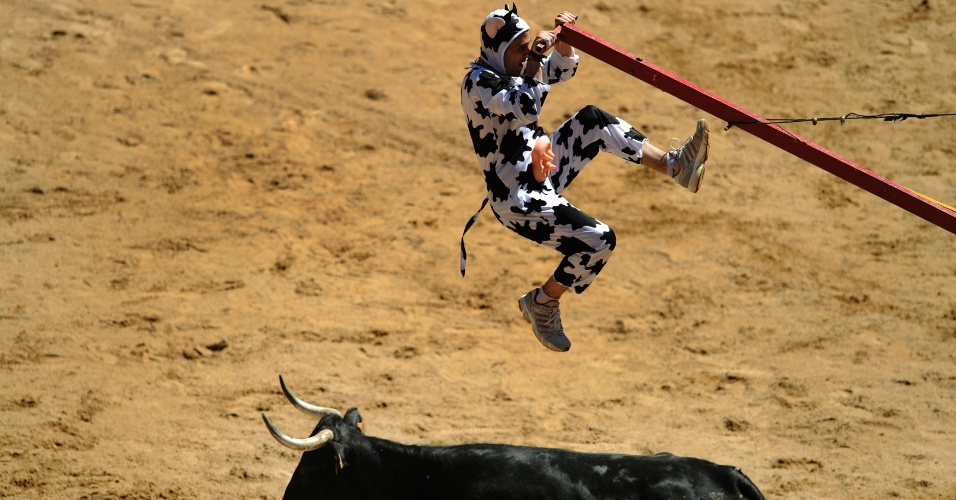 12.jul.2012 - Vestido de vaquinha, homem se apresenta com uma vaca de verdade na arena de Pamplona, na Espanha, no sexto dia do Festival de São Firmino