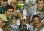 Palmeiras campeão da Copa do Brasil