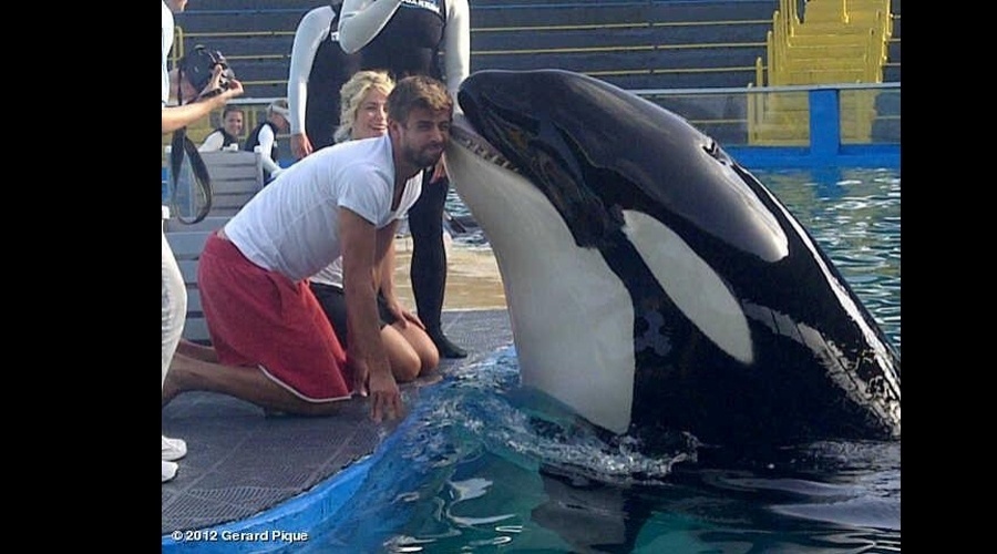 O jogador de futebol Gerard Piqué ganhou "beijo" de uma baleia orca durante passeio em um parque aquático em Miami, EUA (20/7/12)