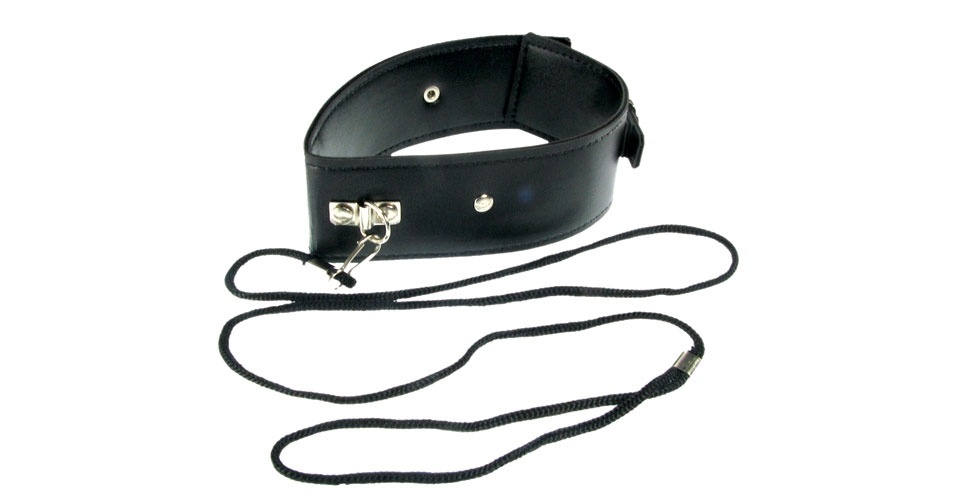 Foto 6  Coleira em couro com detalhes em metal e guia - Divulgação