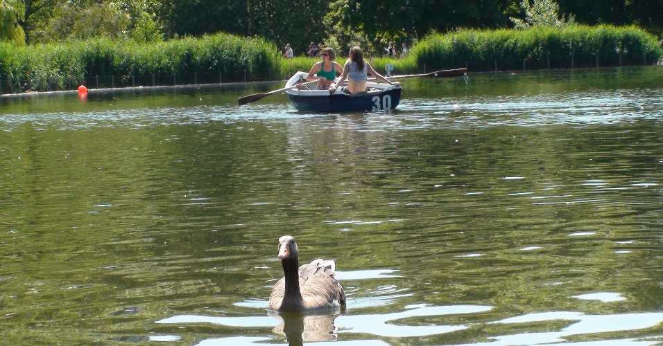 Patos e botes ocupam o lago Serpentine, no Hyde Park, que será ocupado pelos triatletas na Olimpíada no trecho de natação da prova