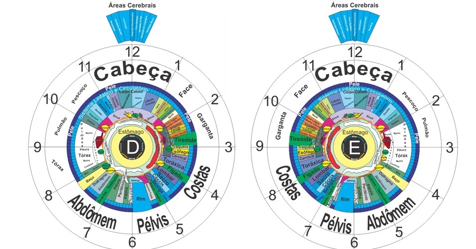 Iridologia Mapa Portugues