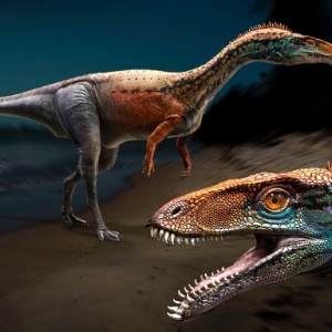 O DNA não sobrevive mais de 6,8 milhões de anos e por isso é "altamente improvável" a extração de material genético dos dinossauros - Rodolfo Nogueira