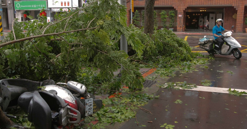 2.ago.2012 - Motorista passa ao lado de árvores que foram derrubadas após a passagem do tufão Saola em Taipei, em Taiwan, nesta quinta-feira (2). Uma mulher morreu e voos foram cancelados no país por conta das tempestades