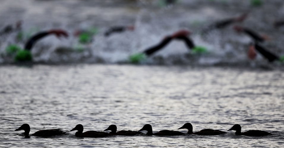 Atletas dividem espaço com os patos na disputa do triatlo em Londres