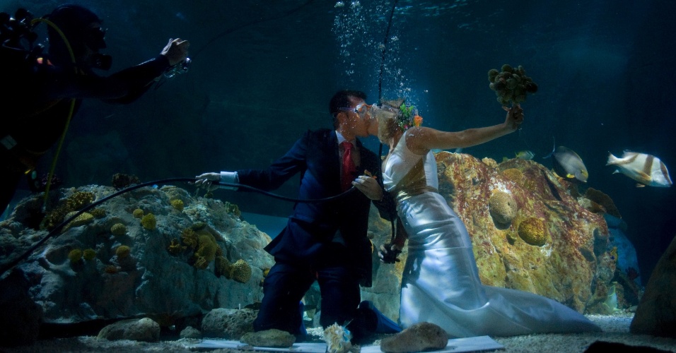 06.ago.2012 O casal Fran Calvo e Monica Fraile celebra seu casamento no aquário Sea Life, em Benalmadena, na Espanha