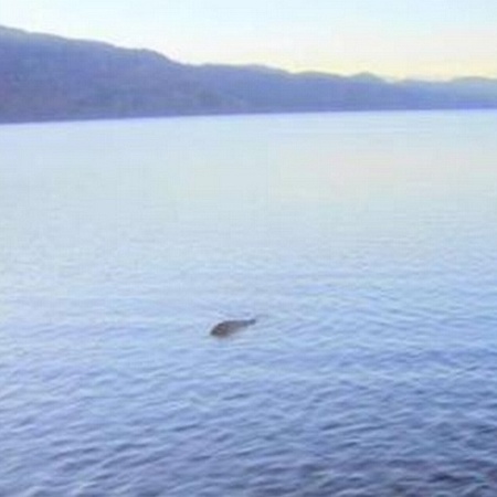 Suposta aparição de Nessie, o monstro do Lago Ness, em foto de novembro de 2011 - George Edwards/Reprodução