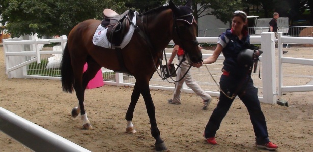 Cavalo "Big Star" é conduzido pela organização após participar da prova de saltos