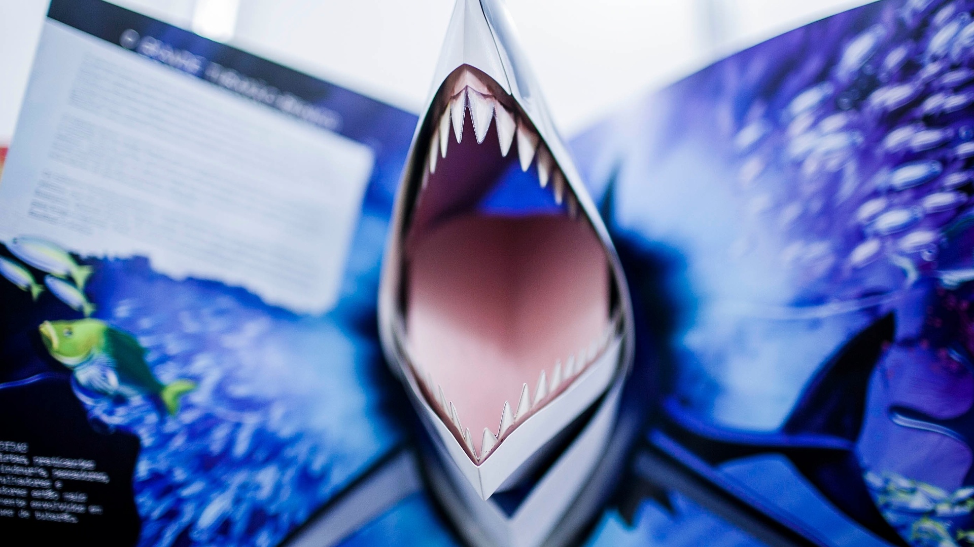 Detalhe de ilustração de livro exposto na 22º edição da Bienal Internacional - Leonardo Soares/UOL