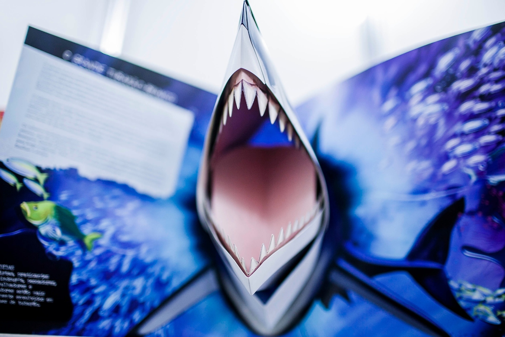 Detalhe de ilustração de livro exposto na 22º edição da Bienal Internacional - Leonardo Soares/UOL