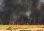 SP: Rodovias são fechadas após incêndios; entidade chama atos de criminosos - Márcia Ribeiro/ Folhapress