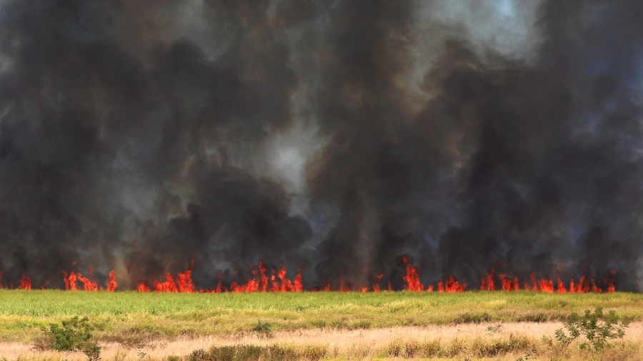 Imagem de arquivo mostra fogo atinge canavial às margens da rodovia Anhanguera, na altura do km 325, em Ribeirão Preto