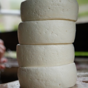 Alguns queijos analisados pelo Idec têm muito mais gorduras do que declaram no rótulo, e das nove marcas que se dizem light, oito não são - Douglas Lambert/Folhapress