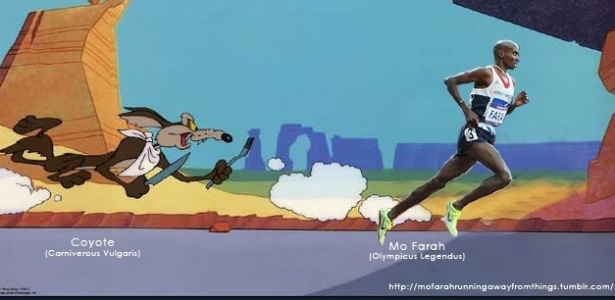 Mo Farah correndo do Coyote - Reprodução/mofarahrunningawayfromthings.tumblr.com