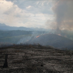 Prática de corte e queima em área preservada de mata Atlântica, em São Paulo  - Gustavo Luna Peixoto/ICMBio Rio de Janeiro