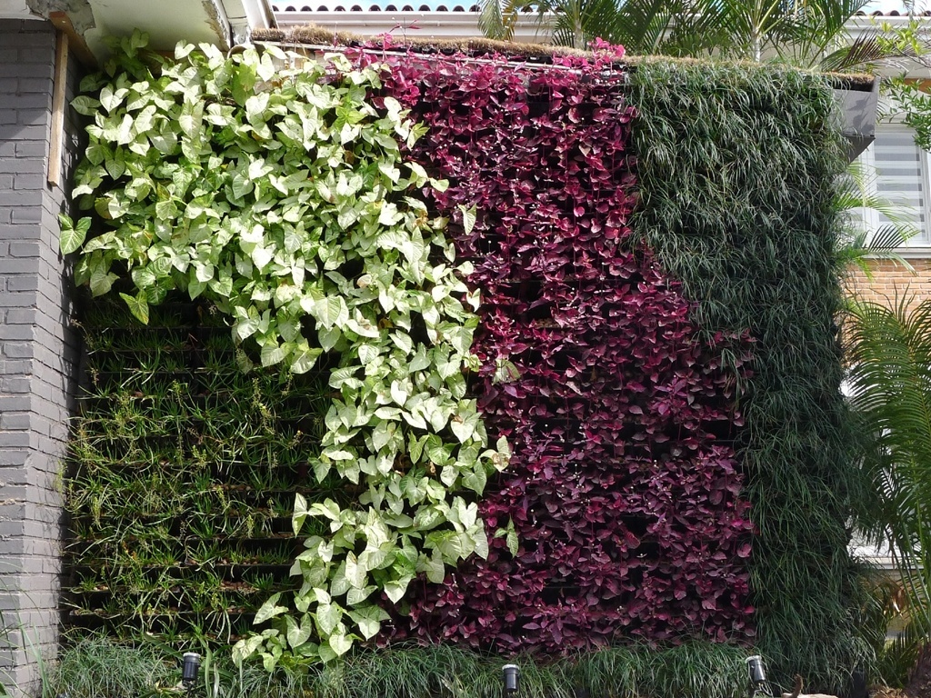 Além de promover o embelezamento urbano, a fachada verde diminui a temperatura tanto do micro quanto do macro ambiente externo. Na foto, sistema Canguru, da Ecotelhado (www.ecotelhado.com.br), que conta com irrigação automatizada e dispensa terra - Divulgação