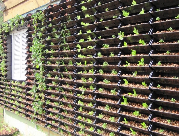 Fachada de residência com horta vertical implantada: cultivo de hortaliças é feito por hidroponia - Divulgação