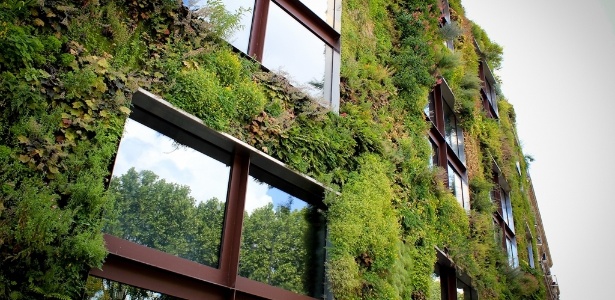 Jardim vertical, criado pelo francês Patrick Blanc, cobre parte da fachada do Musée du quai Branly, em Paris - Divulgação