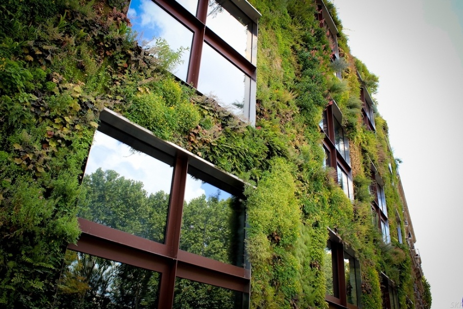 Jardim vertical, criado pelo francês Patrick Blanc, cobre parte da fachada do Musée du quai Branly, em Paris (França). Ao todo, foram utilizadas no projeto 170 espécies originárias do Japão, China, EUA e da Europa Central - Divulgação