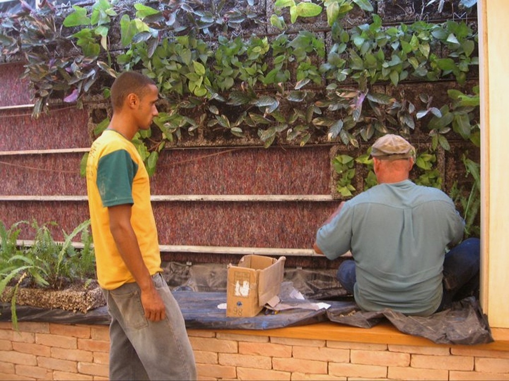 Na foto, momento do processo de instalação de um jardim vertical. Neste caso, o sistema Ecoparede (www.ecotelhado.com.br) dispensa terra e pode ser utilizado em áreas internas e externas. Outro diferencial é a estrutura ser removível - Divulgação