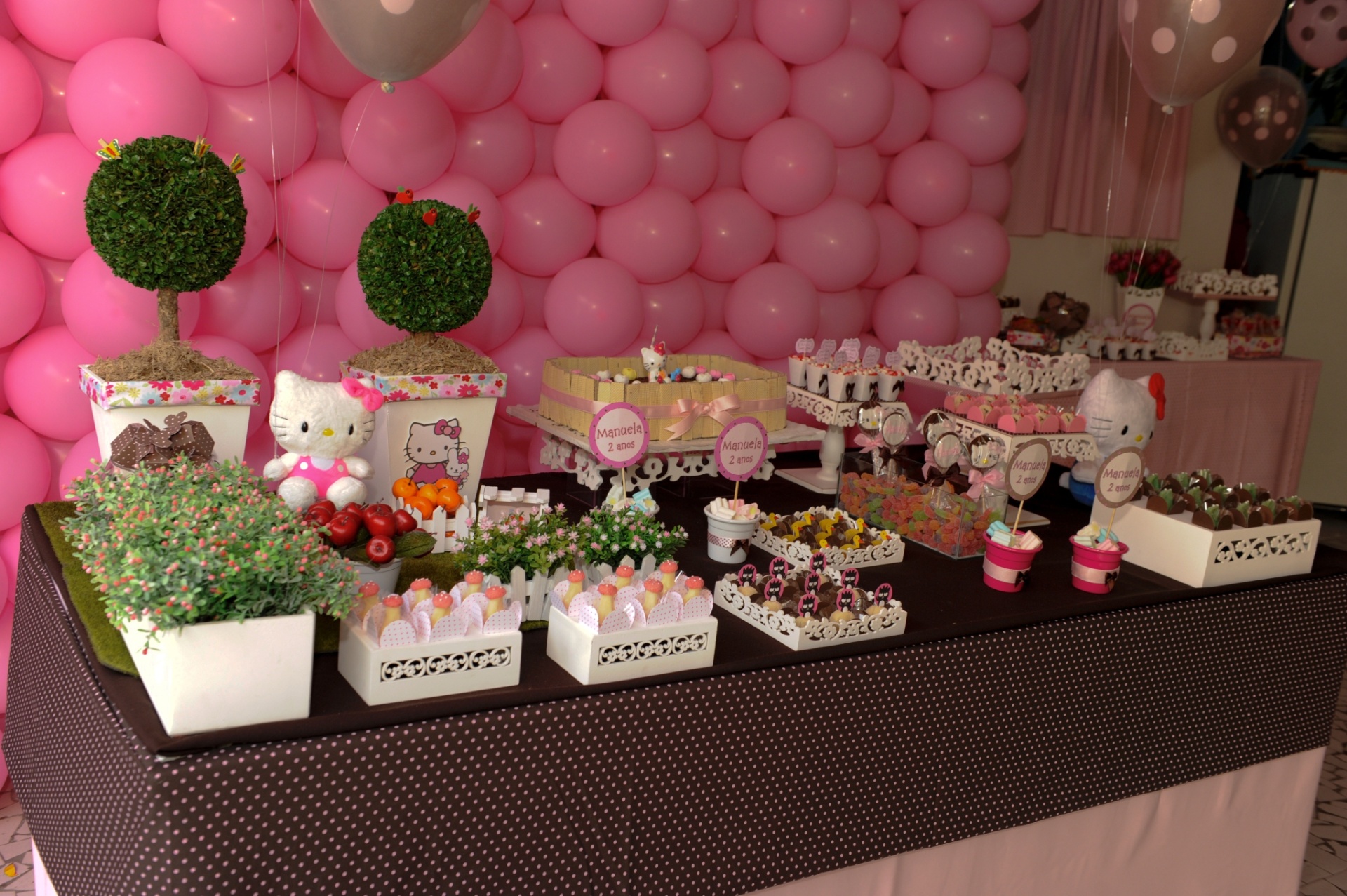 O tema da gata Hello Kitt, aniversário, bebês - Divulgação