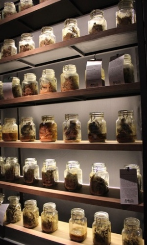 Uma exposição na Tailândia intitulada "Delícias Podres: a cultura da comida em conserva", em tradução livre, revela o processo de tempero e fermentação de ingredientes populares nas receitas da Ásia (16/8/12) - Marina Wentzel / BBC Brasil