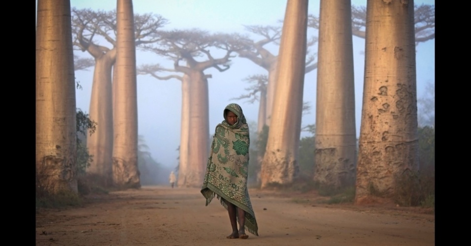 A foto de Ken Thorne tirada na costa oeste de Madagascar, perto de Morondava, recebeu um prêmio por mérito. A floresta ancestral de baobás, típicos de Madagascar, é considerada sagrada pelo povo Malagasy. Alguns dos espécimes têm mais de mil anos de idade, o que confere ao local um clima mágico - Ken Thorne/National Geographic Traveler Photo Contest