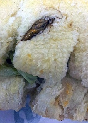 Foto que teria sido registrada pelo cliente mostra inseto prensado no pão do sanduíche - Isaac Newton Santos