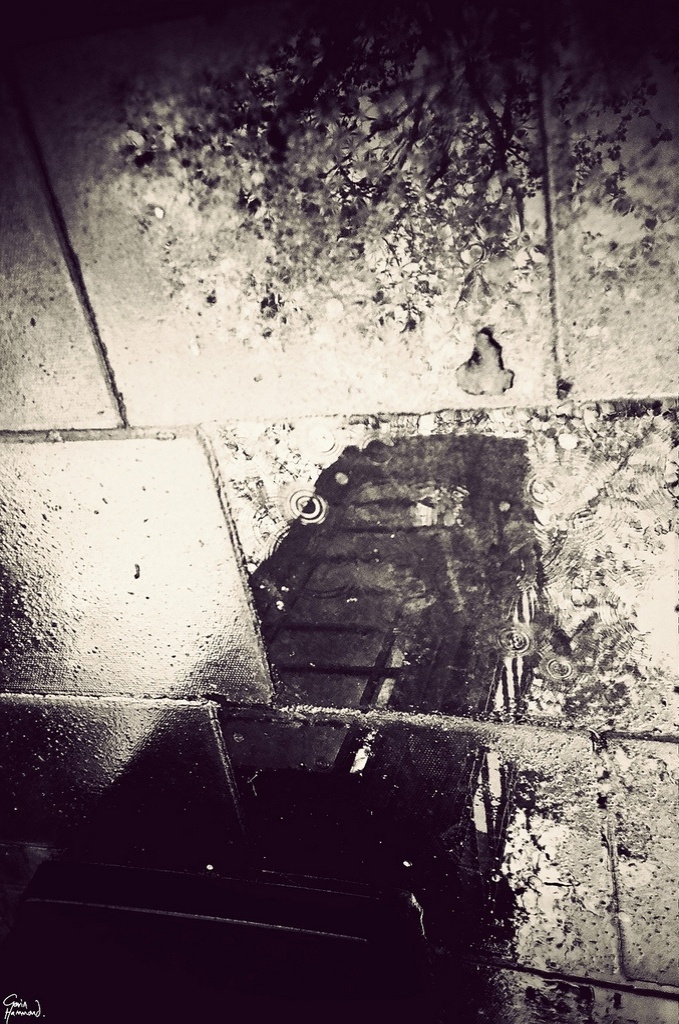 "Não há truques para mim, só paciência e um bom olho", afirmou o britânico. Na imagem acima, uma das famosas cabines telefônicas vermelhas da cidade - Gavin Hammond 