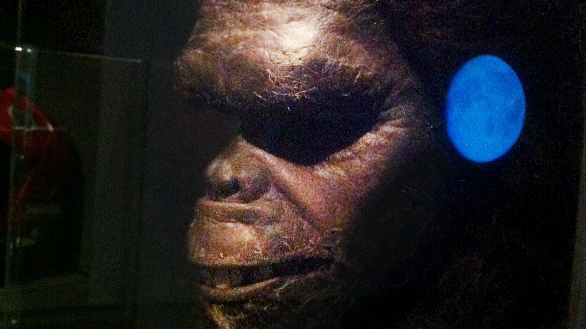 Traje original do homem pré-histórico de "2001 - Uma Odisséia no Espaço" em exposição do cineasta Stanley Kubrick em Amsterdã (24/08/2012) - James Cimino/UOL