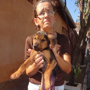 A comerciante Neusa Mila segura um dos 300 cachorros cuidados por ela em São Joaquim da Barra - Arquivo pessoal
