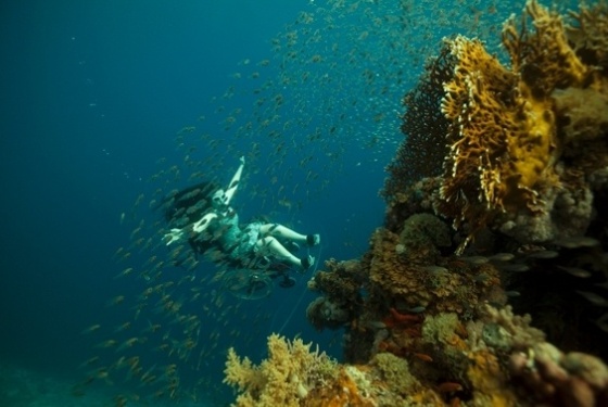 Sue Austin, artista paraplégica, criou a performance acrobática sobre cadeira de rodas que flutua na água - Divulgação/Wearefreewheeling.org.uk 