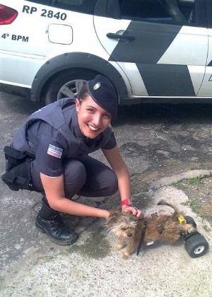 Cachorro paraplégico é adotado pela soldado da Polícia Militar Gecyanna Araújo, em Vila Velha (ES) - Arquivo pessoal