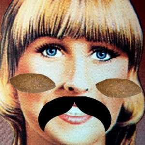 Imagem do perfil "Gina, Kibadora Indelicada" do Facebook; página mostra que "Gina Indelicada" copiou piadas de usuários do Twitter - Reprodução