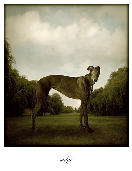 O fotógrafo atualmente mora na Filadélfia (EUA), mas cresceu em uma área rural. Uma grande influência no trabalho de Andrew é o Renascentismo e os retratos de paisagem. Podemos perceber isso, na fotografia de Suky - Andrew Pinkham