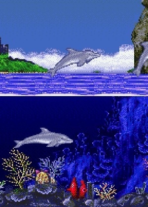 Reprodução