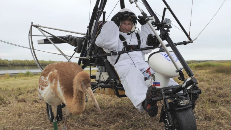 putin - Alexsey Druginyn/Reuters - Alexsey Druginyn/Reuters