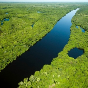 Brasil tem um dos pântanos mais importantes do mundo, diz agência da ONU - Luciano Candisani/CI/Divulgação
