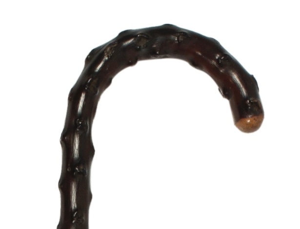 Bengala usada por Charles Miller, pioneiro do futebol no Brasil, em exposição - Divulgação