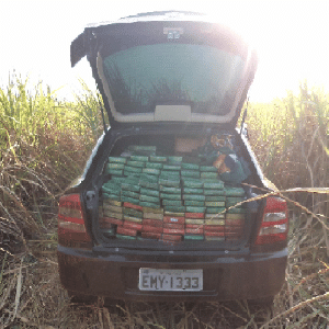 A droga estava em dois carros abandonados às margens da SP-421, em Taciba - Divulgação/Polícia Militar