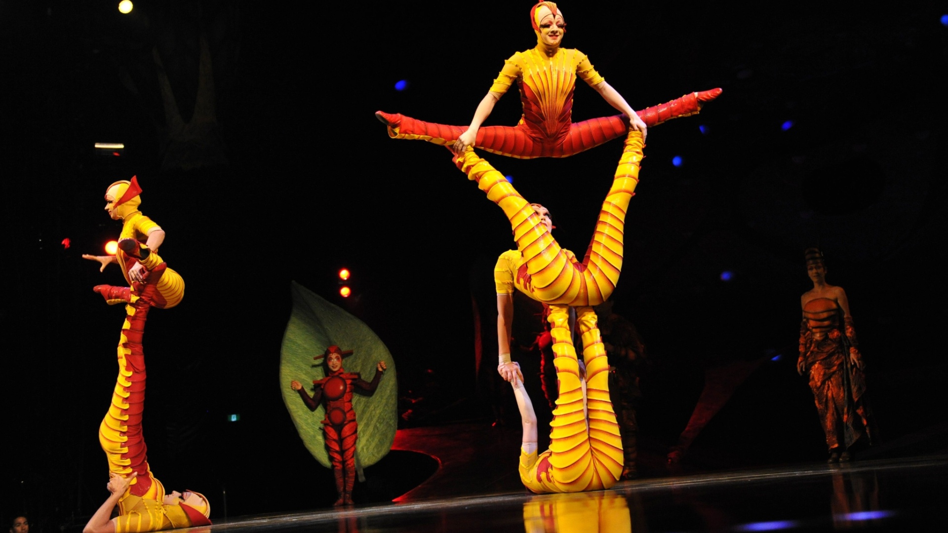 Fotos Cirque du Soleil leva Fotos Cirque du Soleil leva
