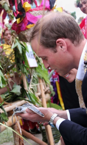 Príncipe William pega um filhote de tartaruga na Ilha Nanumea, na vila de Tuvalu (18/9/12)
