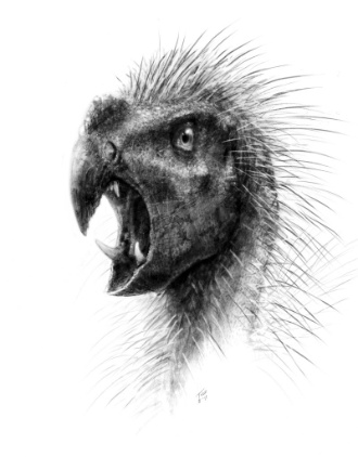 3.out.2012 - O desenho mostra o 'Pegomastax africanus', um recém-descoberto dinossauro anão com dois dentes afiados. Segundo estudo publicado no site da National Geographic, esse animail se alimentava apenas de plantas