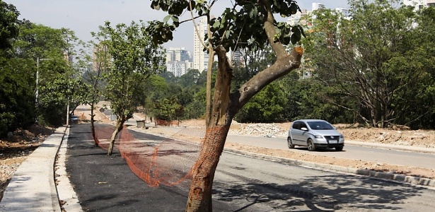 Um coqueiro e uma pitangueira são duas das 20 árvores que ficaram no meio de uma nova avenida no Morumbi, na zona oeste de São Paulo - Marcelo Justo/Folhapress