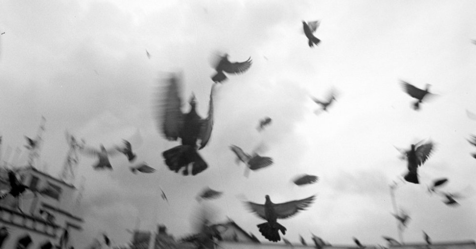 Esta imagem foi feita por Bhavesh Patel, que também nasceu cego. "Segui a direção do som de pombos voando e capturei a imagem me baseando nas pistas que o som me dava, que mostravam que mais pombos estavam voando. Poucos depois que tirei a foto, começou a chover." - Bhavesh Patel