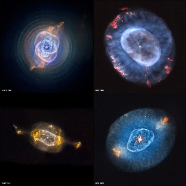 11.out.2012 - Imagem reúne quatro nebulosas planetárias que são foco do primeiro estudo sistemático de objetos como estes no Sistema Solar, conduzido com ajuda do Observatório Chandra, da Nasa. As nebulosas planetárias NGC 6543 (ou "Olho de Gato"), NGC 7662, NGC 7009 e NGC 6826 demonstram uma fase da evolução das estrelas pela qual o Sol irá passar nos próximos bilhões de anos
