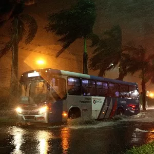 Chuva de veneno – Estadão