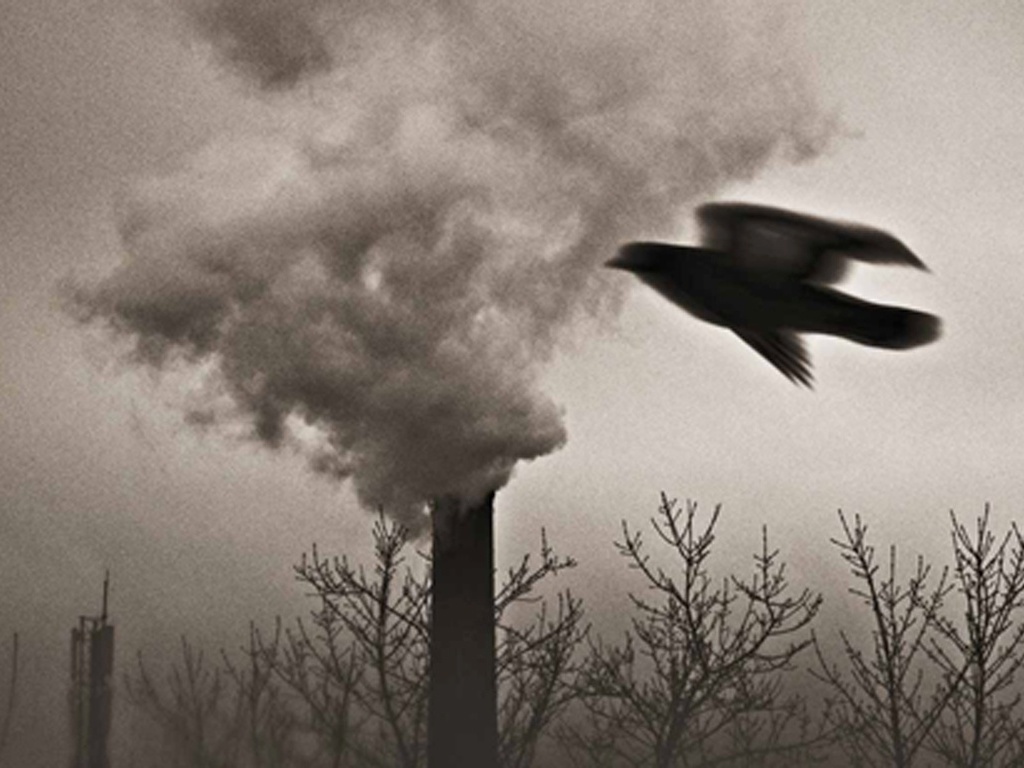 Anastasya Vorobko, de oito anos, cunhou sua imagem como “SOS” e levou o primeiro lugar.  - Anastasya Vorobko/Chidlren's Eyes on Earth 2012