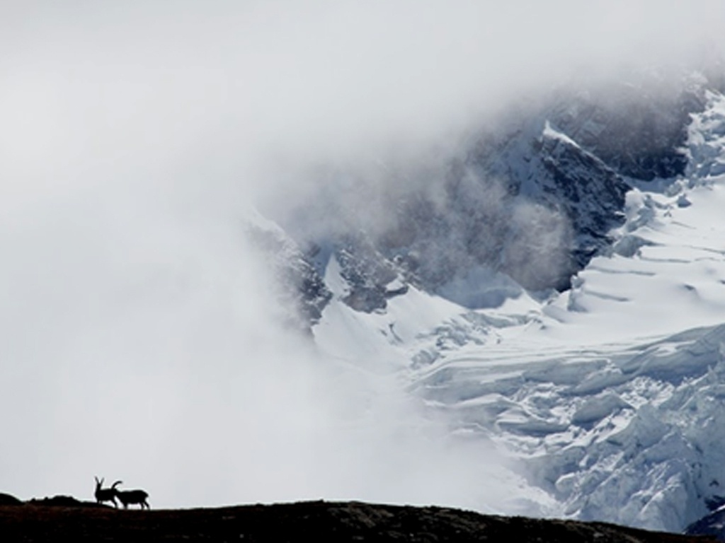 Erik Hess, da Grã-Bretanha, clicou essa cena de inverno e foi um dos finalistas no concurso internacional. - Erik Hess/Chidlren's Eyes on Earth 2012